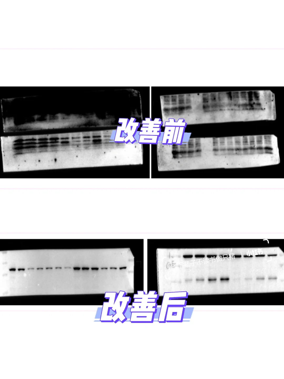🥸分享一下跑了四年wb的小心得（经验贴）
