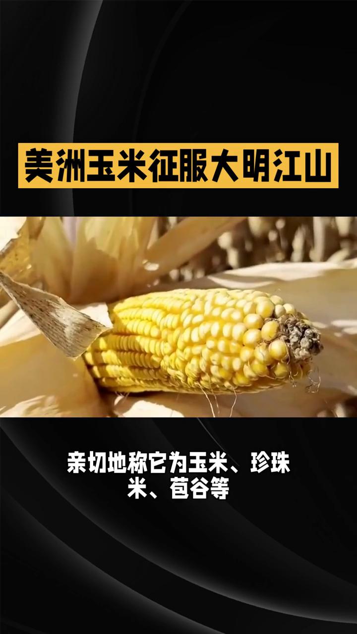 美洲玉米征服大明江山。
16世纪，一根来自美洲的玉米竟成了大明百姓的"救命粮"，