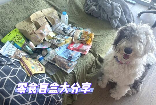 三月购物开箱｜狗狗零食盲盒✅