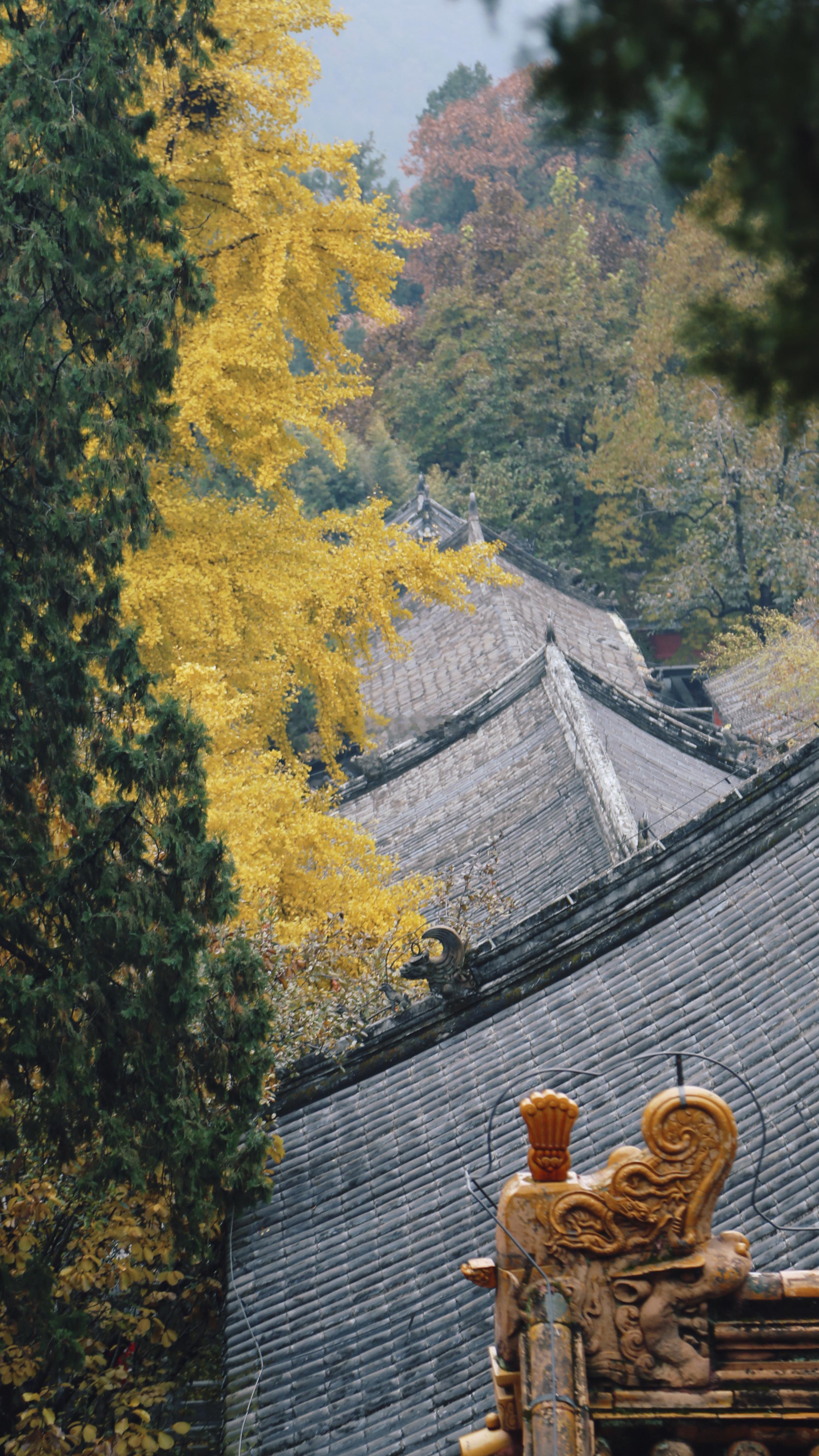 京西·潭柘寺公园  摄影