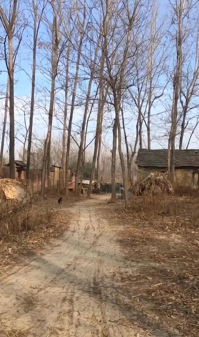 三观炸裂，放假回老家，发现农村年轻一代有一些可怕的共性，沉迷手机游戏，冷漠成性，