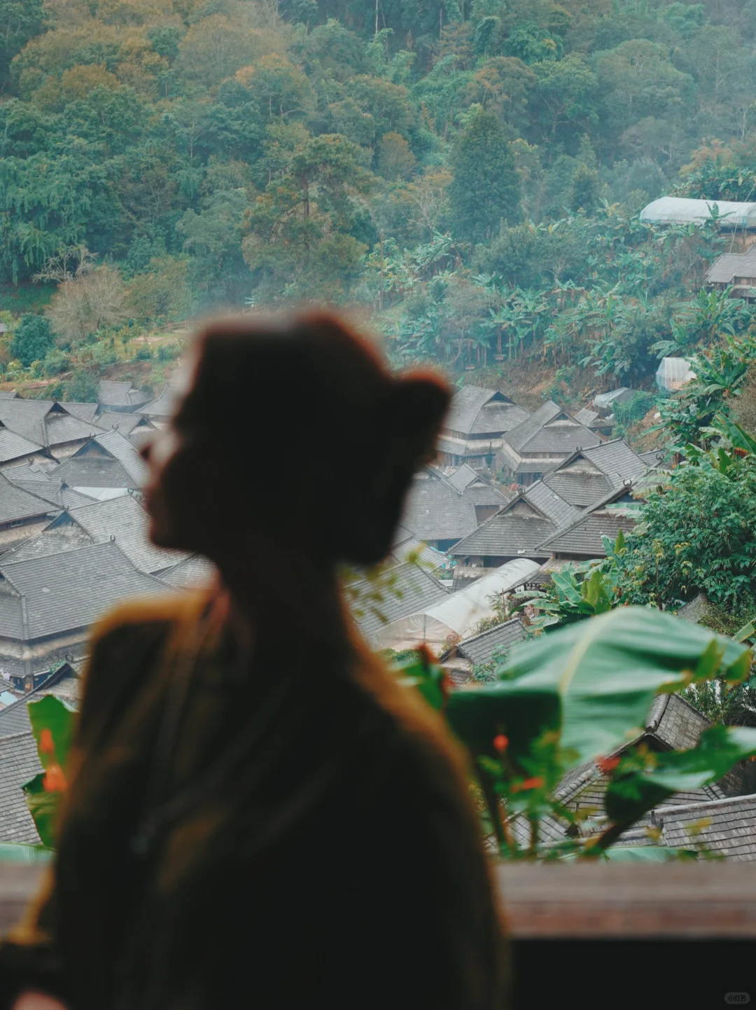 云南景迈山｜这里是我此生还要重来的地方