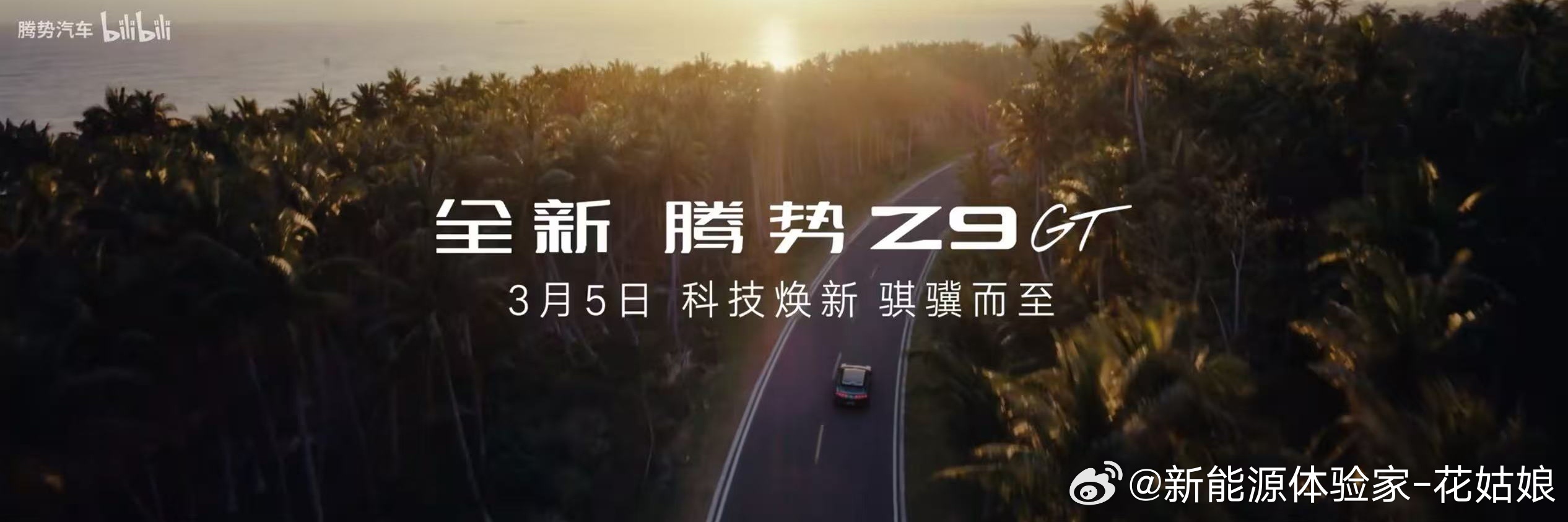 3月5日官宣了，技术发布和预售比亚迪大v聊车新能源大牛说腾势