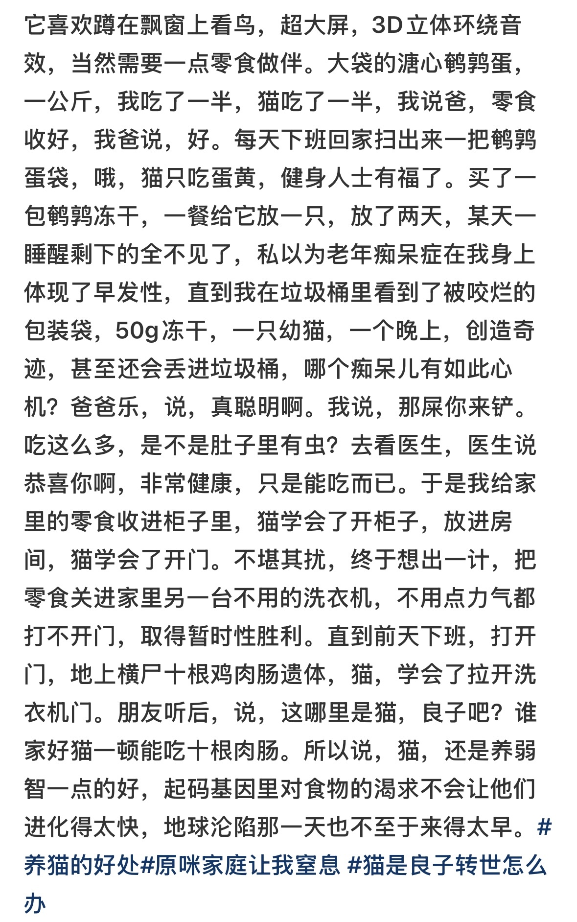 现在的猫已经进化到这种程度了吗，猫还是养痴呆一点的比较好