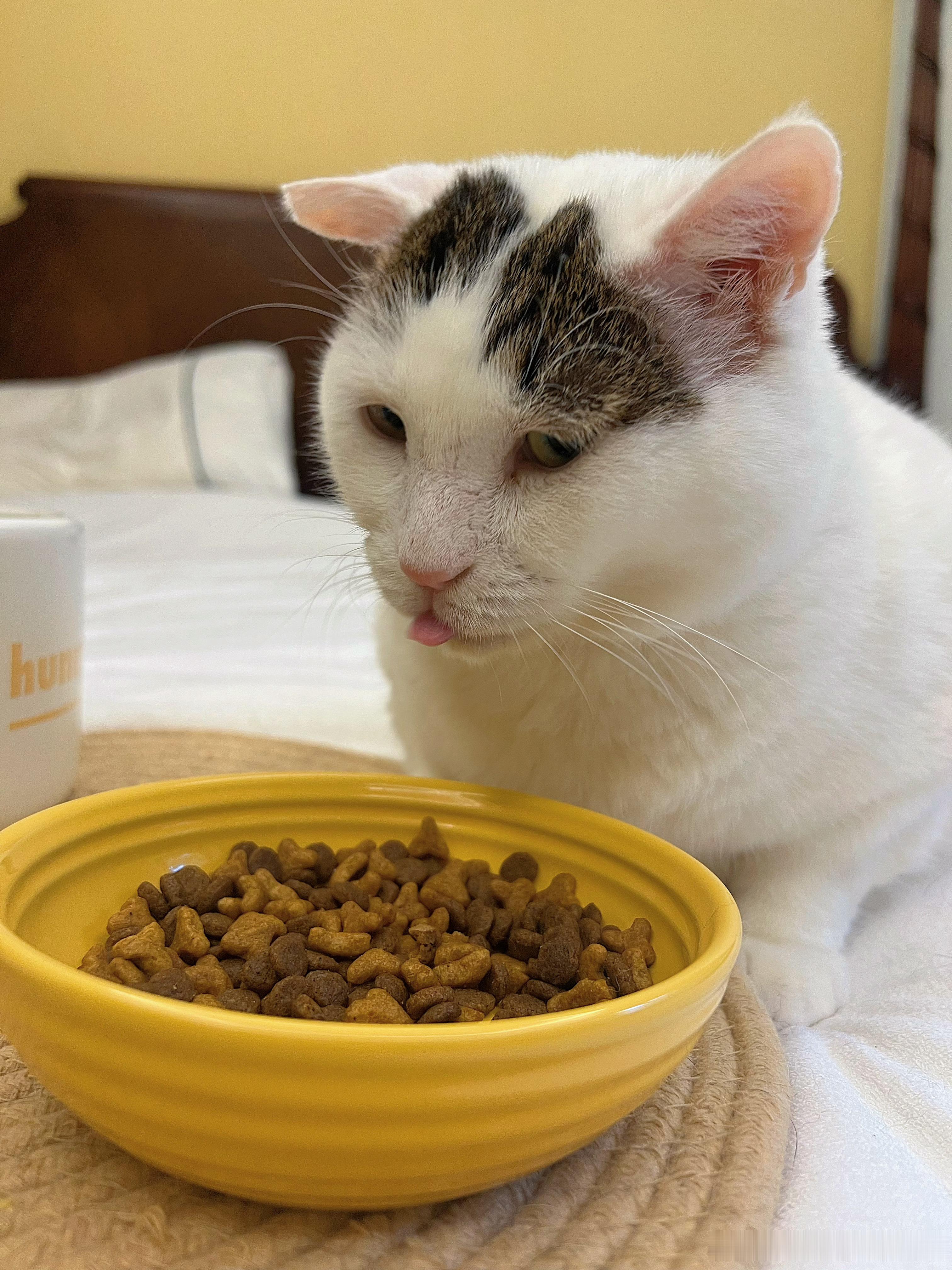 看见我饭都不想吃了
