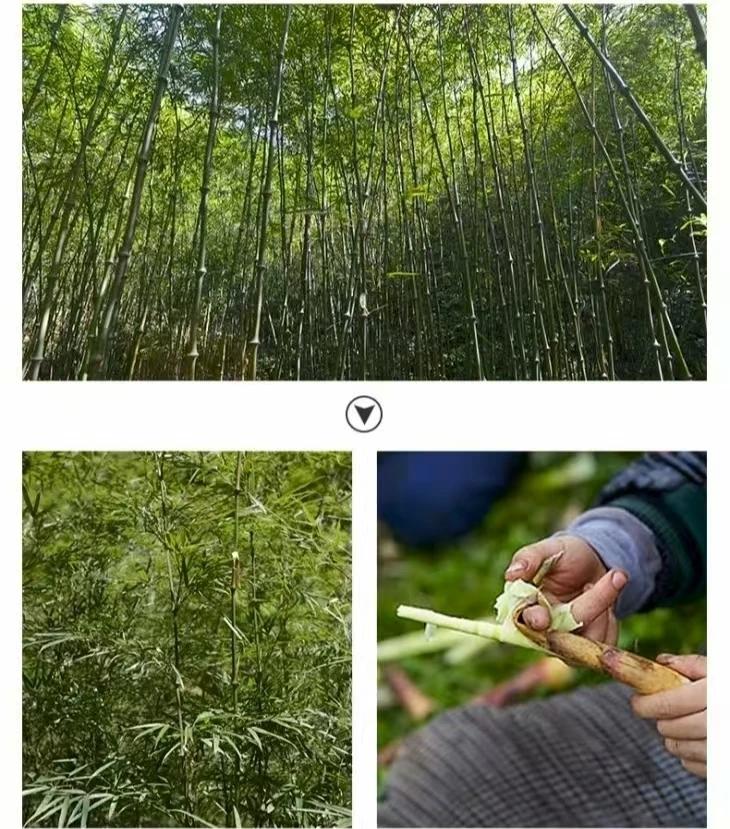 这是我小小说《蜀南笋事》里的一节内容哦，在此分享给大家，请各位朋友不吝雅正~[呲