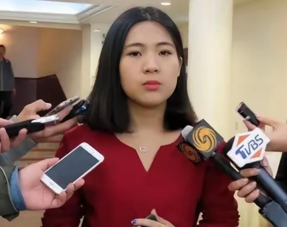 国民党立委徐巧心被民进党利用公权力盯上了，成了台北地检署的新目标。北检突然重启两