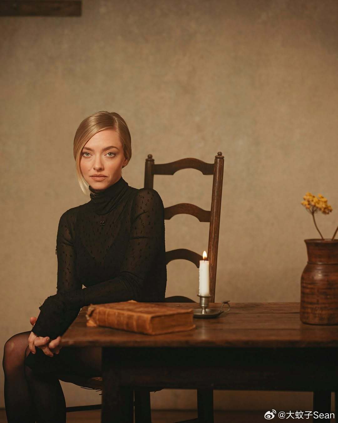 Amanda Seyfried阿曼达塞弗莱德之前为电影《安·李的遗嘱》拍摄的宣传