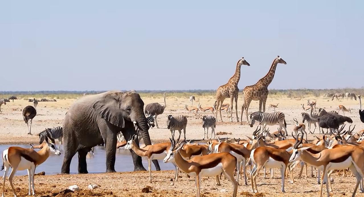 西宁的朋友们我对一个现象很困惑，你们来分析一下原因。自从2019年疫情以来，特别