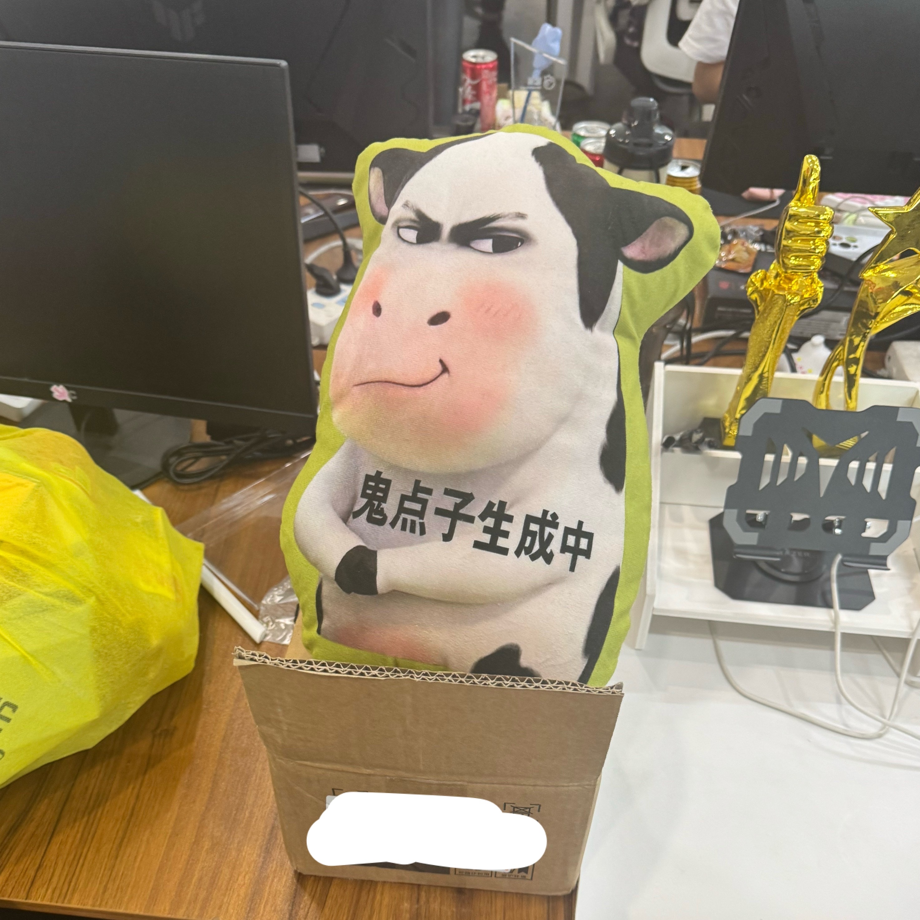 ？同事买的抱枕 看眉眼似乎是奏切 