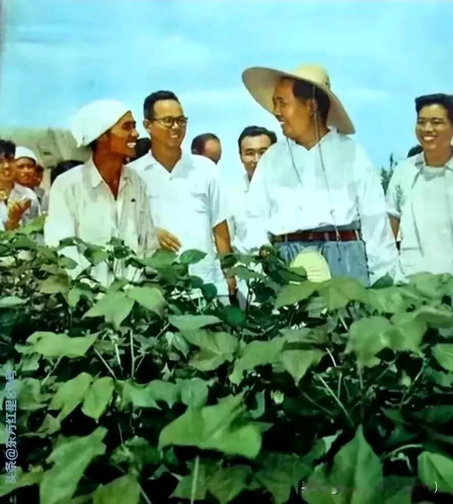 什么才是我国农村发展的唯一出路走共同富裕的集体化是唯一的道路。