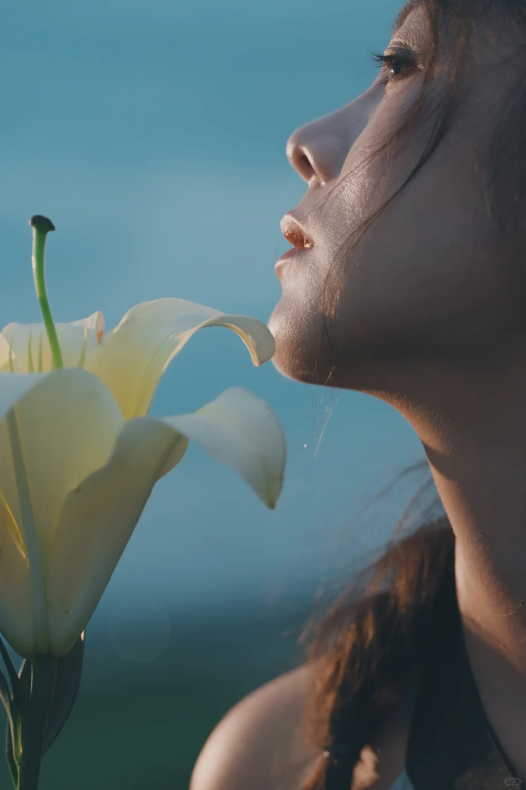 在100种过夏天的方式里怎么能不吹晚风呢