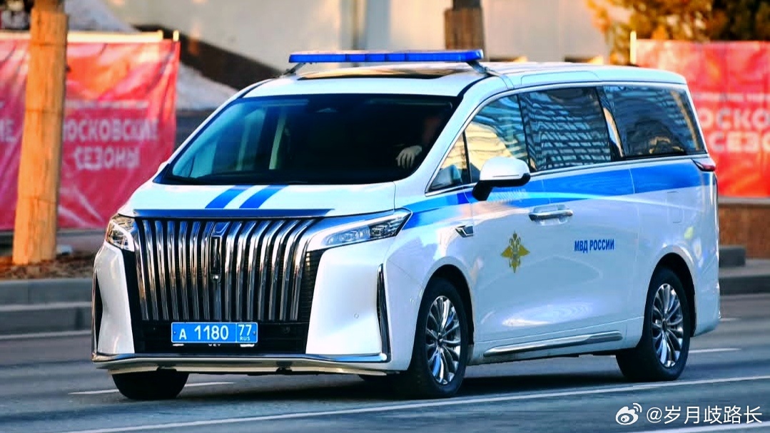 更多魏牌高山开始服役我与汽车的日常中国车在海外