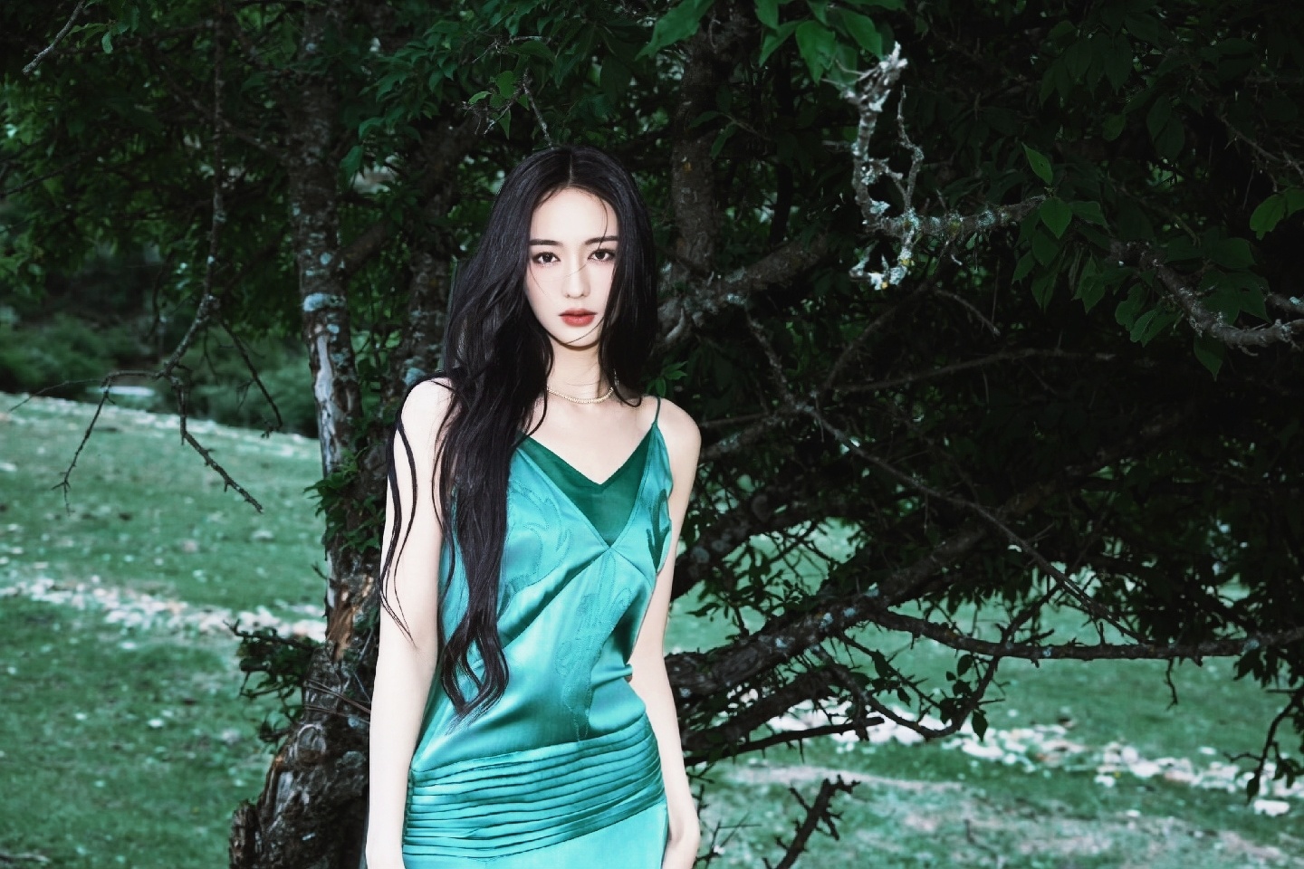 李宛妲 李宛妲  自修李宛妲绿色壁纸 女神真的太适合绿色了   专栏 · LOV