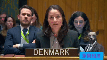 丹麦开始支持巴勒斯坦，丹麦常驻联合国代表克里斯蒂娜·马库斯·拉森指出，未来巴勒斯
