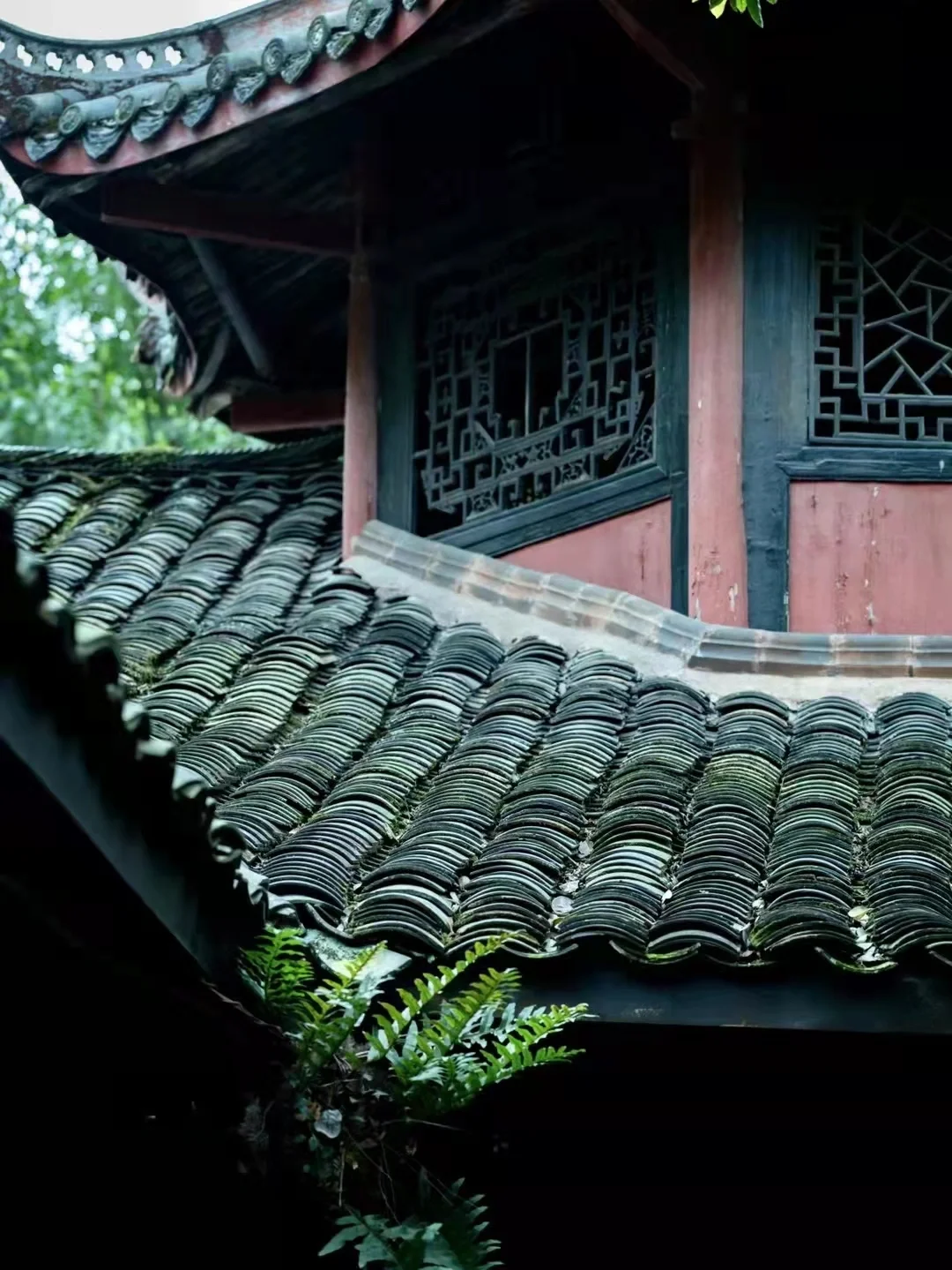 藏在成都小九寨的🏠超高颜值道观