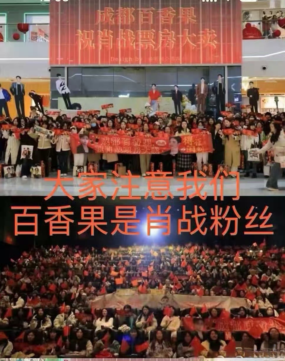 别装了好吗？累不累？博君一肖是肖战粉丝