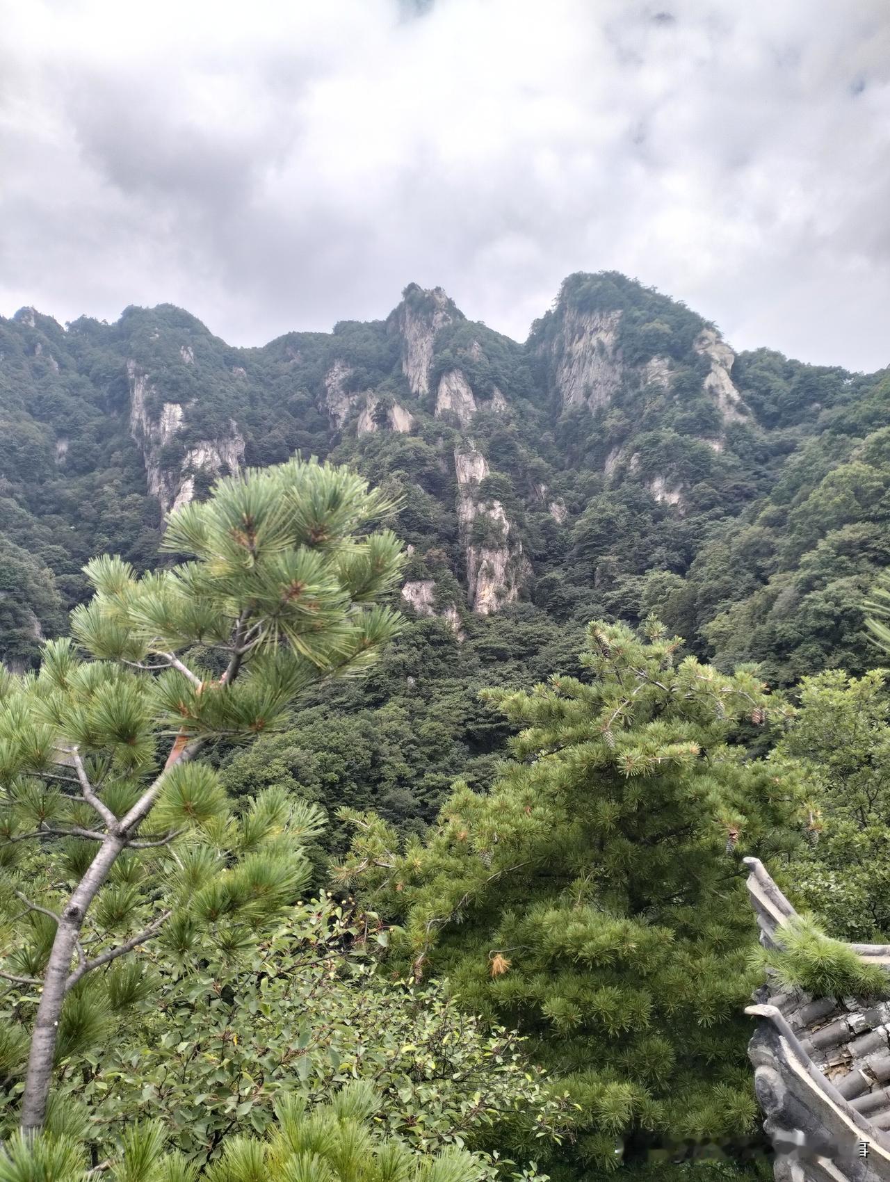 因为先去了水陆庵景点转了一圈，因此到达王顺山脚下已经是中午一点多了，把车停好随便