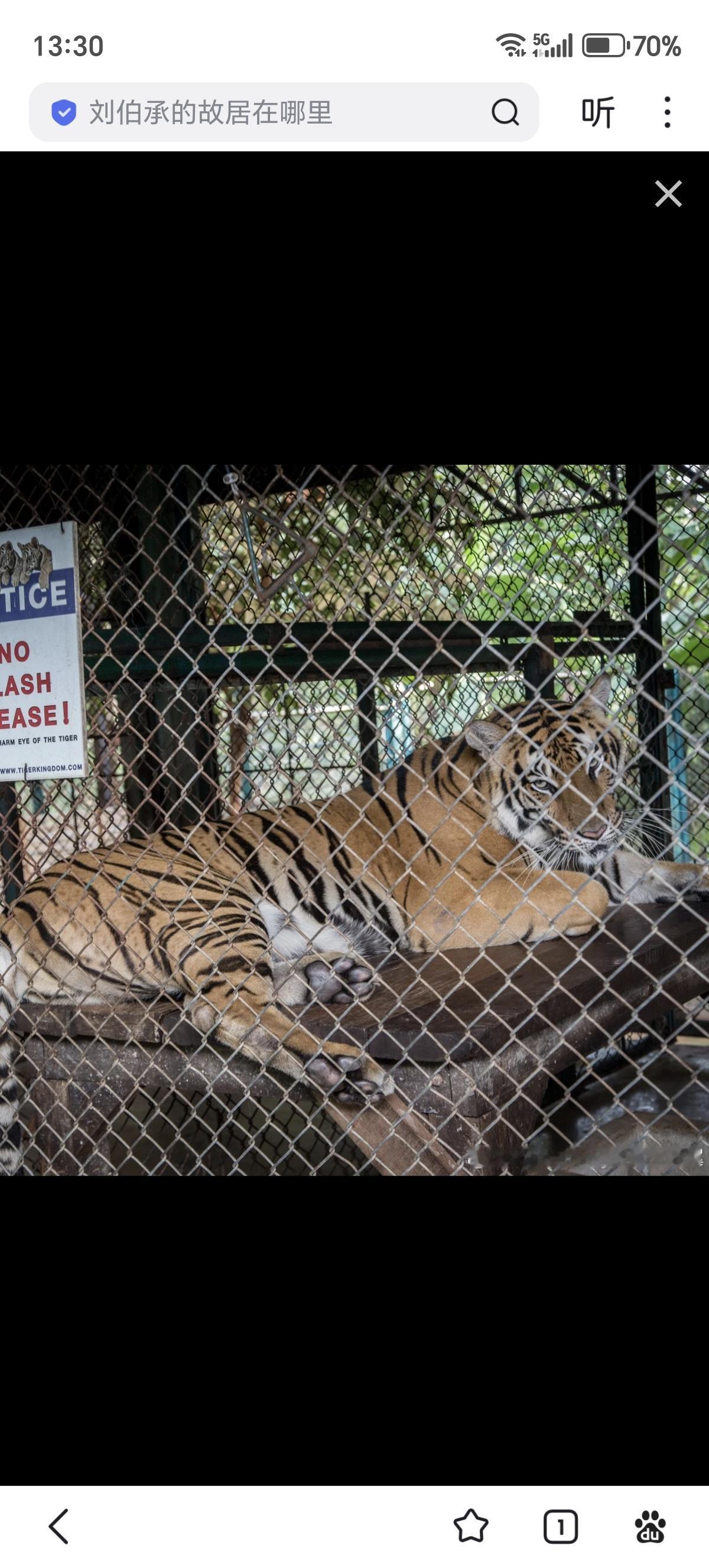 2月21日，泰国农业与合作社部畜牧司就清迈虎园老虎集中死亡事件发布正式通报。
