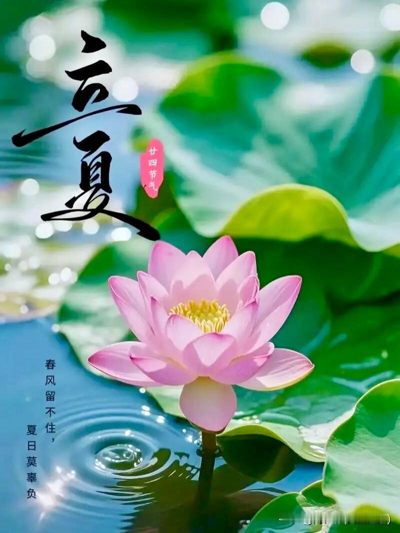春去无声夏日长，
熏风十里满园香。
绿荫叠翠添清景，
细雨轻波映荷塘。

☀️今