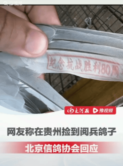 “贵州惊现阅兵鸽？”阅兵第二天，
有网友发帖说，在贵州捡到一只鸽子，羽毛上印有“