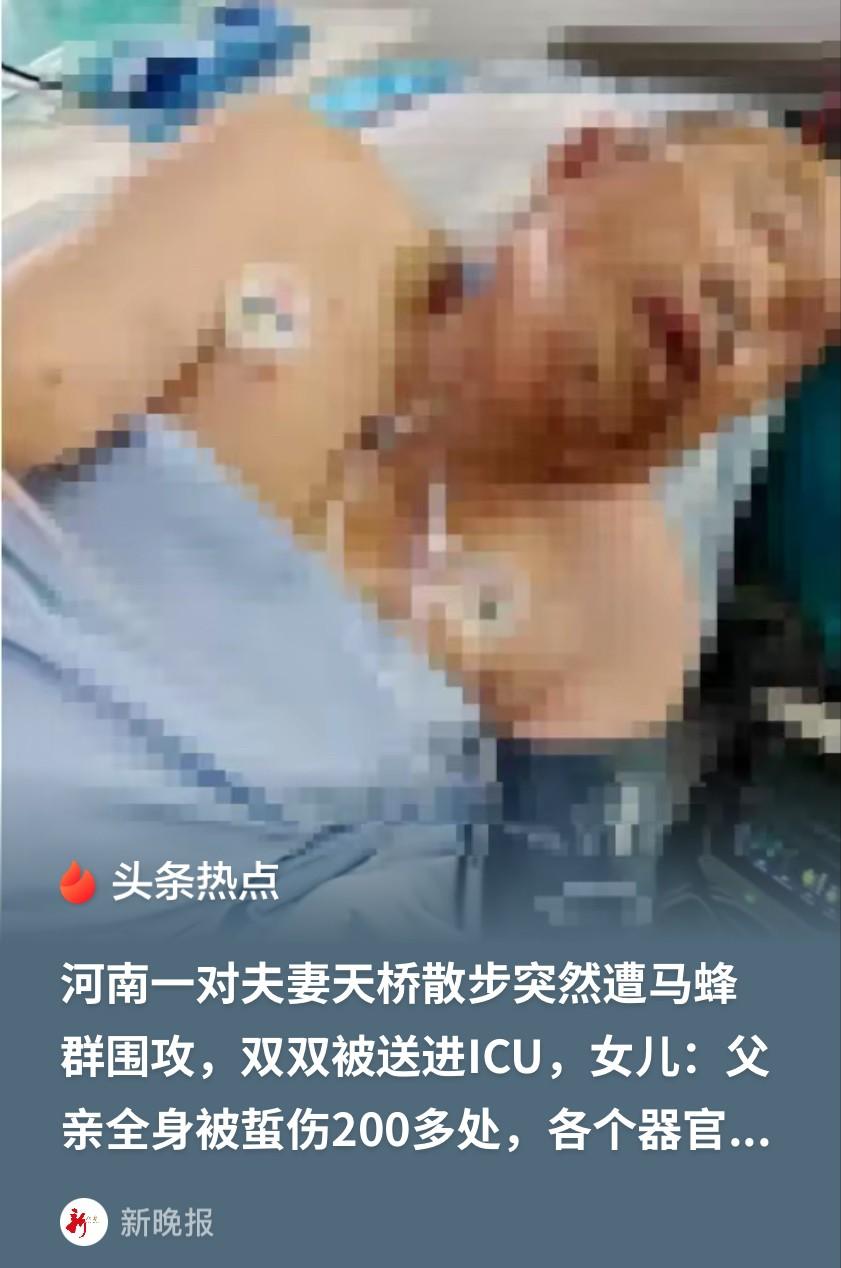 河南汝州一名70多岁的老人，9月11日上午9点左右，牵着老伴的手出门散步。不到几
