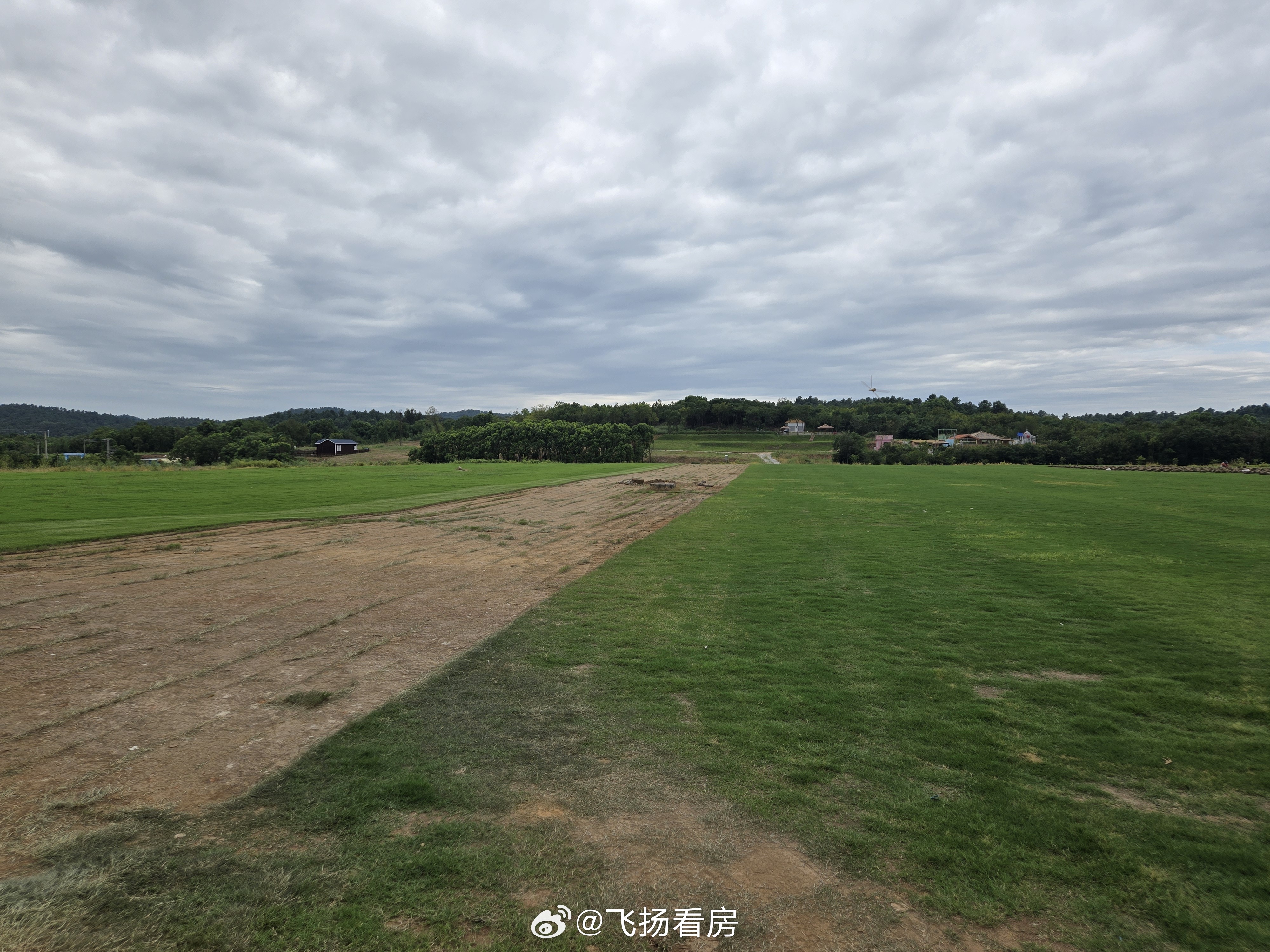 在紫蓬山，绿城庐境桃源项目边上，有一个草坪场。培育草坪，然后用一个设备把它挖出来