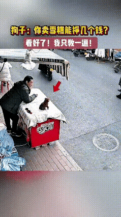 这么小就学坏了啊