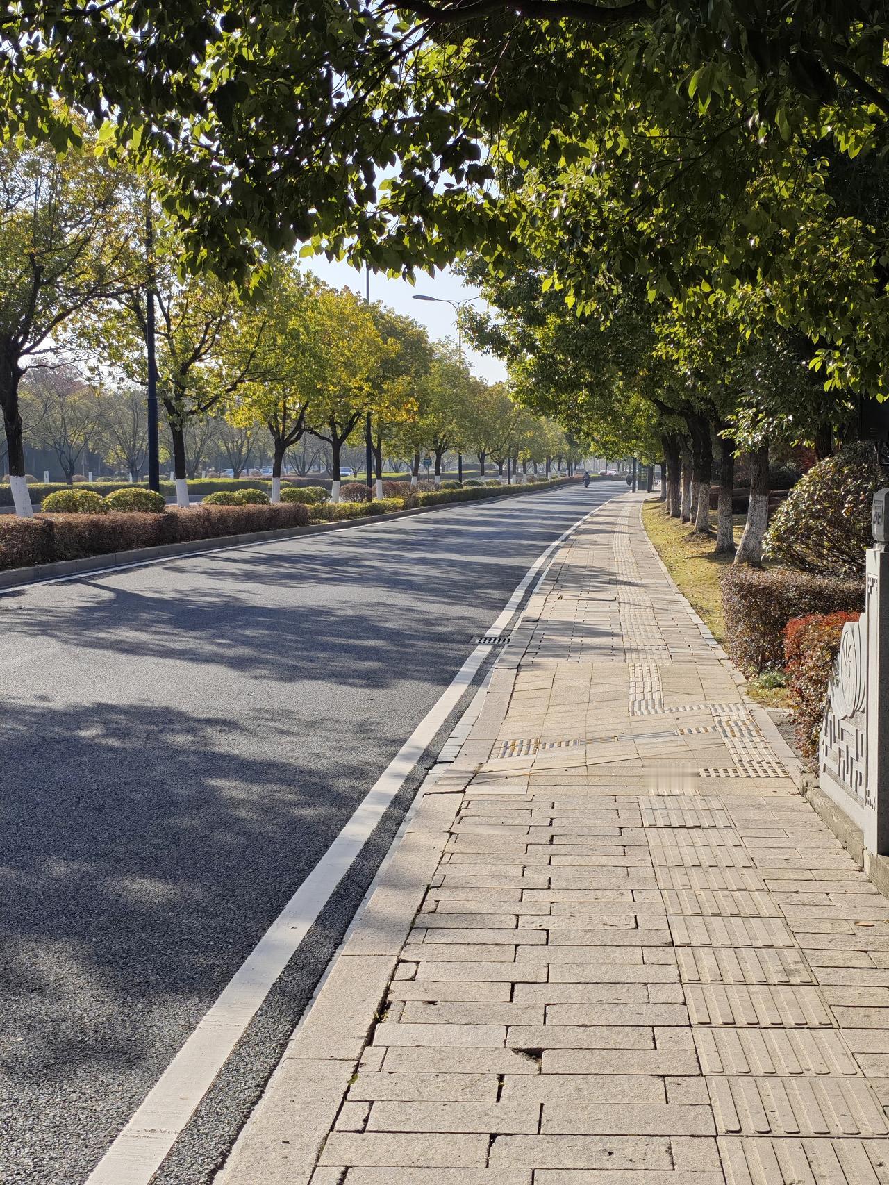 想问问
有多少人每天早出晚归 拼m挣钱
感受不到早上的暖阳
看不见晚上的落日
周