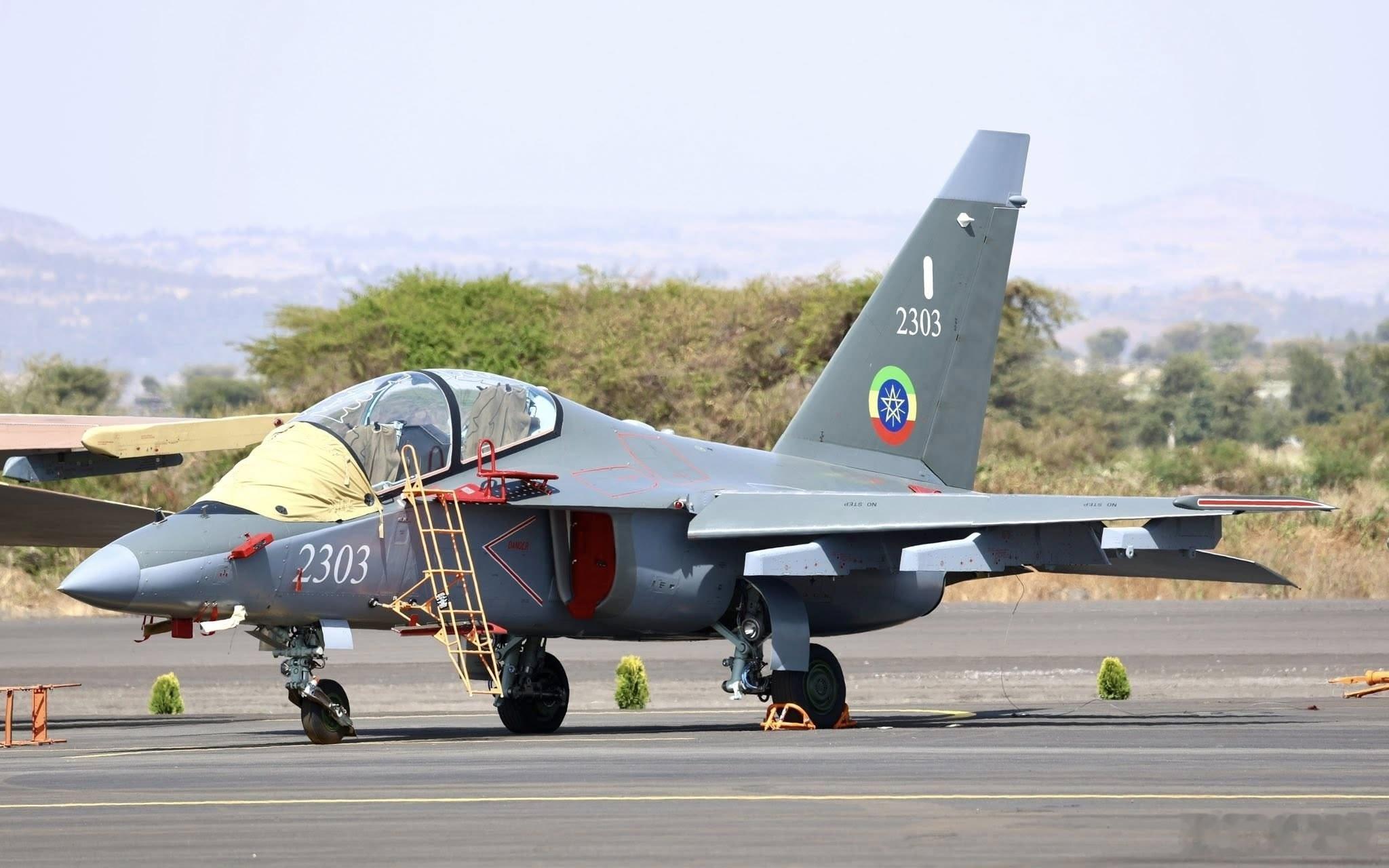 埃塞俄比亚空军的俄制雅克-130型高级教练机。该合同之前未被公布，具体数量约为1