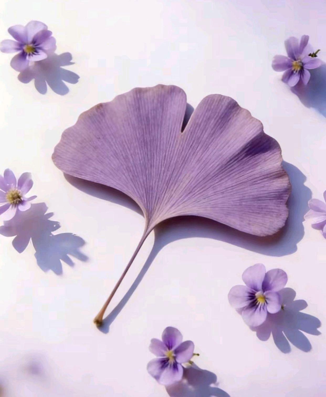 我们的时间和精力，
不要花在人的身上，
要花在关于，
自己的三件事上，
你一天会