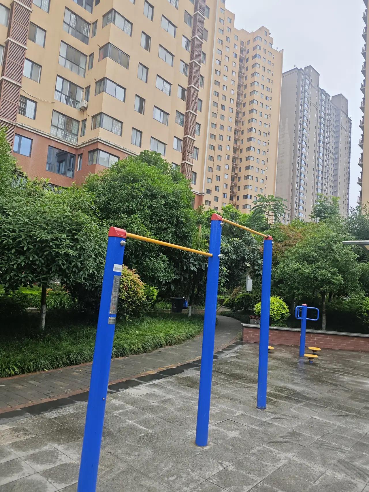 家庭里的“形式主义”

连续几天，早上慢跑完，在小区的体育器械区活动时，碰见这样
