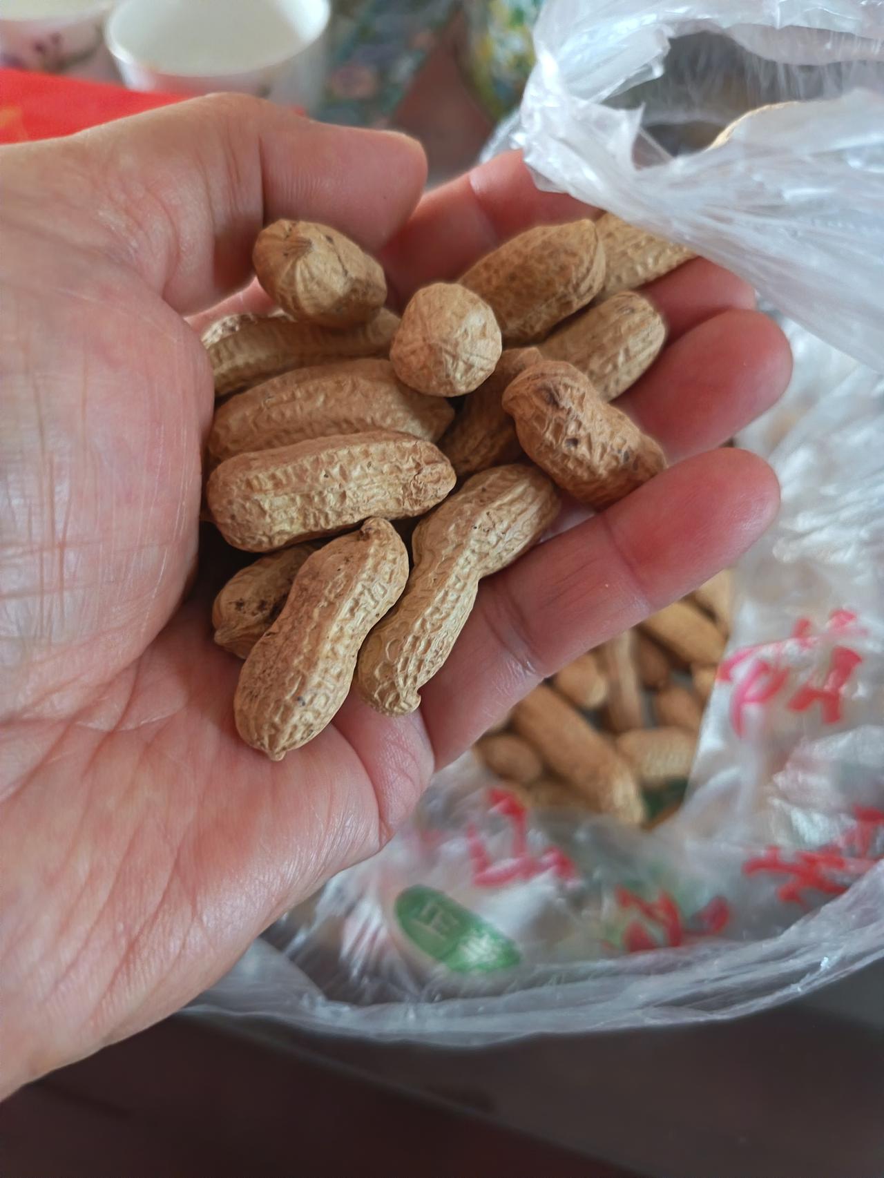 人呐，上了年纪嘴巴就特别馋，不知道已退休的伙计们有没有这种习惯。

我妈妈生前到