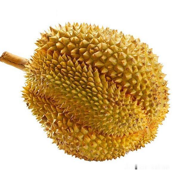 今年榴莲好便宜，金枕榴莲超市搞活动17.98元一斤，买的人乌咉乌咉的可多了，跟不