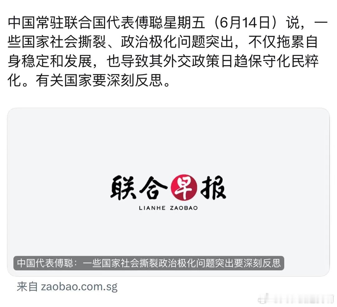 中国常驻联合国代表傅聪星期五(6月14日)说，一些国家社会撕裂、政治极化问题突出