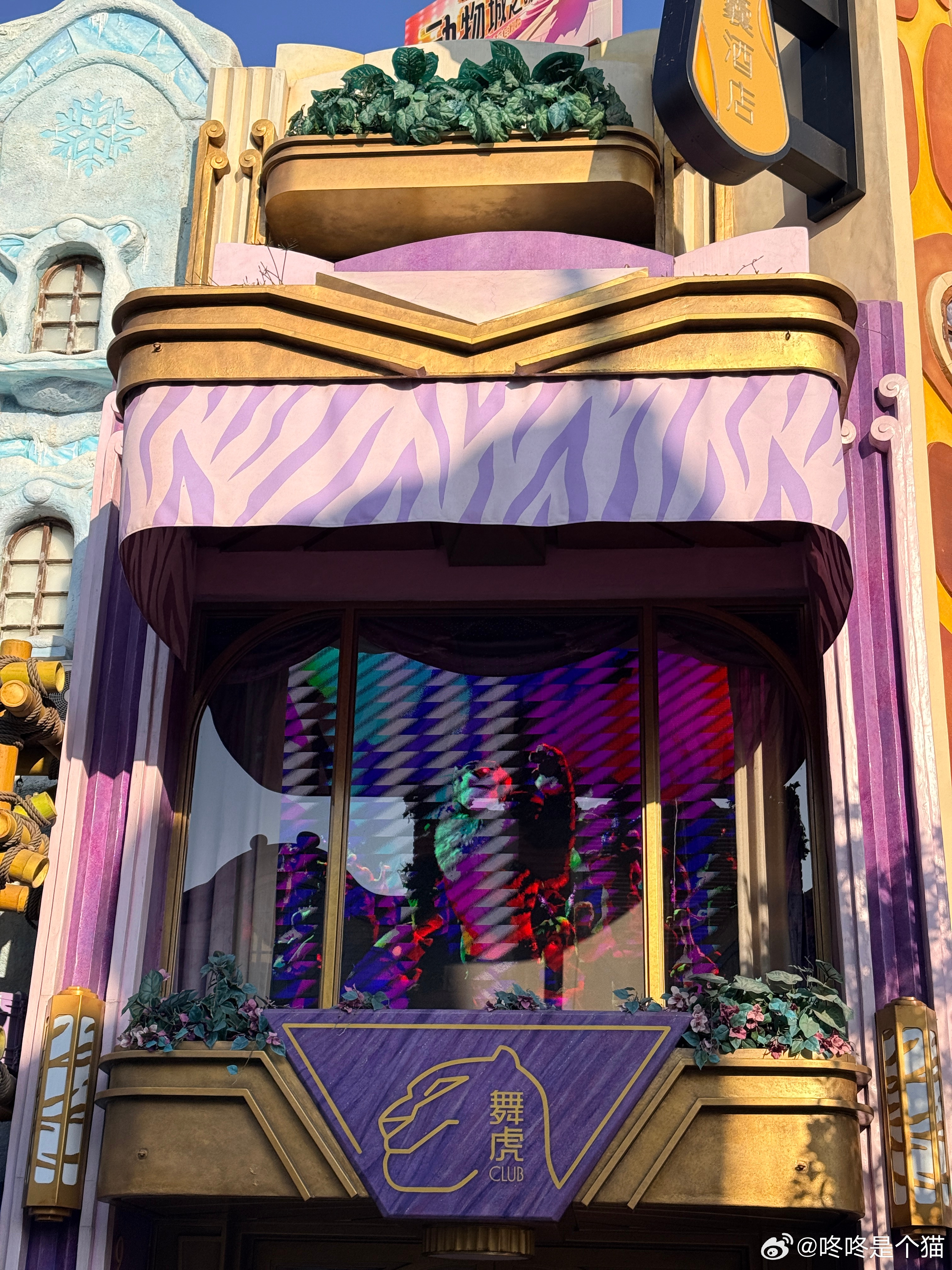 这叫AI一键消除路人，宝贝儿～疯狂动物城园区人类太多了上海迪士尼穿搭分享OOTD