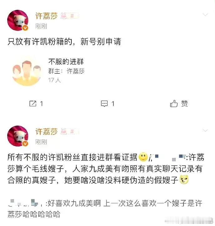 魔嫂许荔莎又搞事了，放许凯粉丝进群，她从来不公开放任何证据，真没意思。 