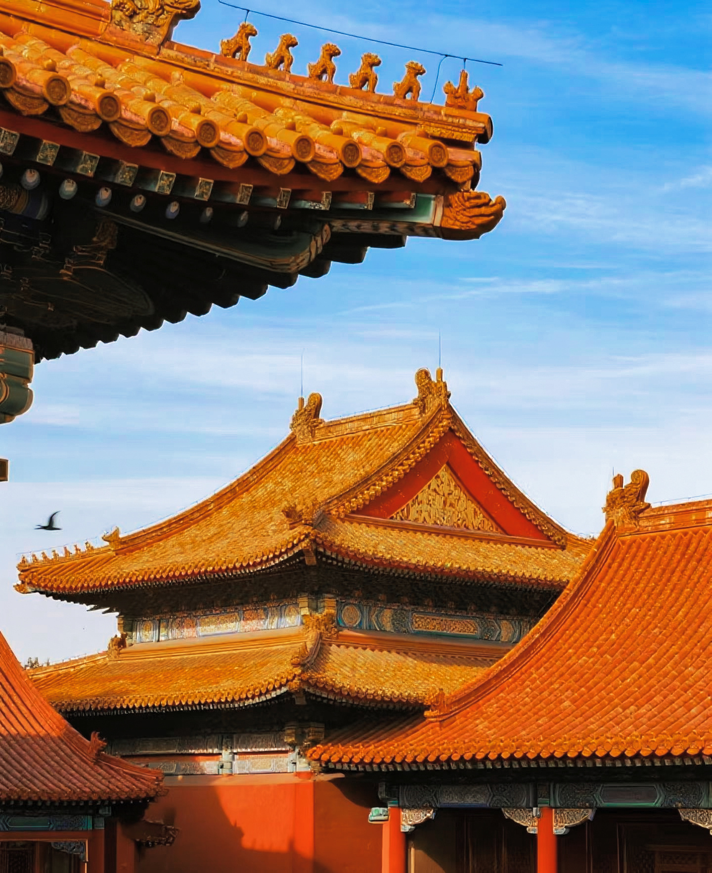 🇨🇳山河锦绣，国泰民安。岁月长河里，一代代人坚守与奔赴，才有眼前万里晴空、万