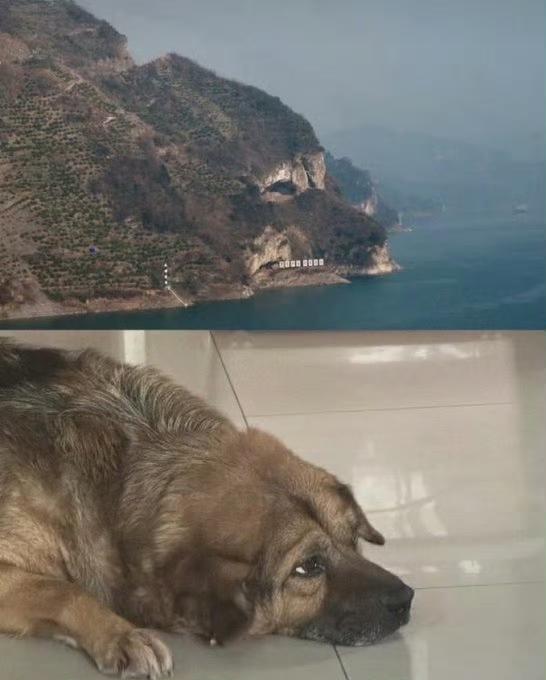 湖北有座山在外网被人叫做“小狗山”