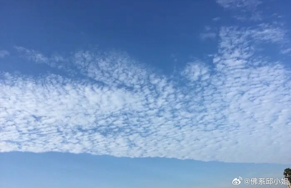 昨晚外围带动，市场情绪左右摇摆。有人喊大涨，有人怕冲高回落，小白纠结听谁的，不少