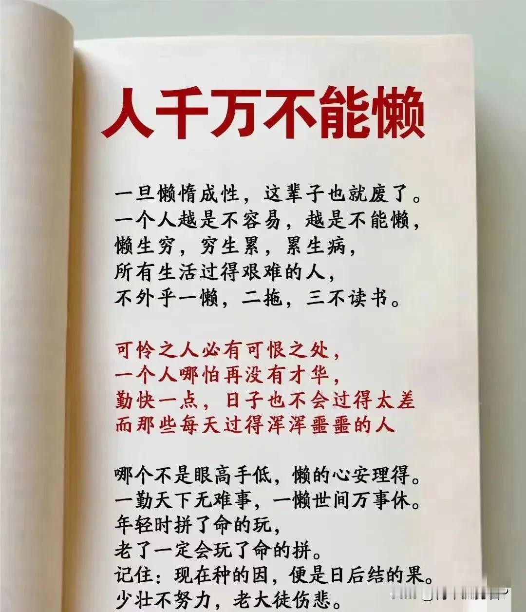 懒，不单是身体上的慵懒，更是心灵上的懈怠。在忙碌与压力交织的生活中，人们偶尔向往