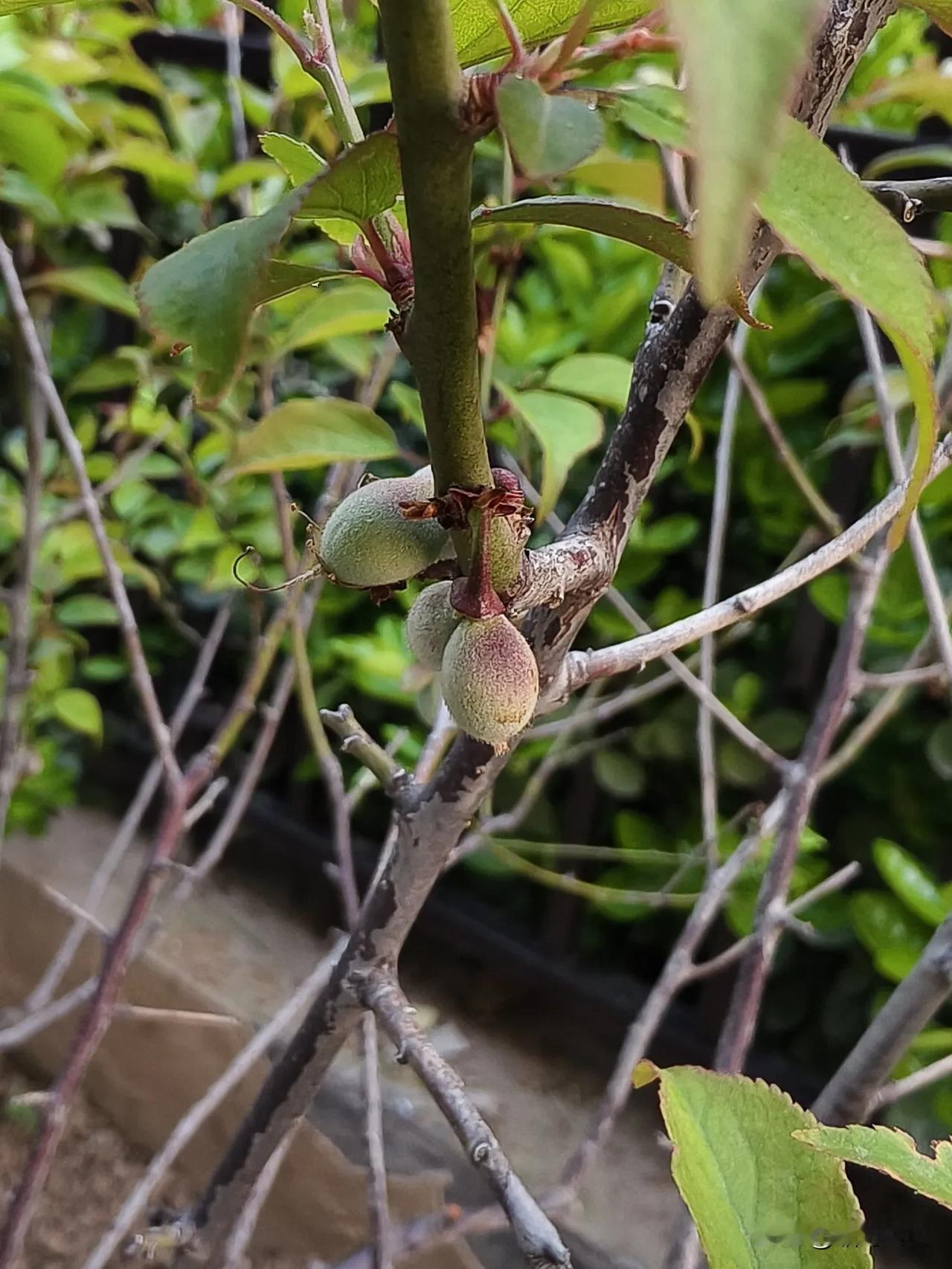 每月的最后一天，家里就断网。

都快成习惯了，每个月的最后一天，家里网络就没了，