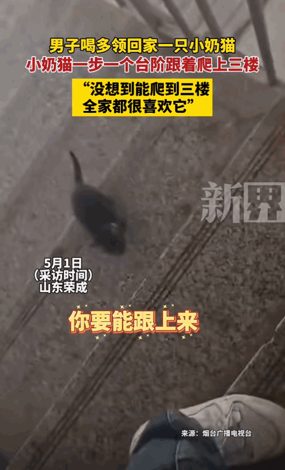 “心存善念，天必佑之”5月1日，山东威海一名男子喝多了回家，在楼下遇到一只刚出生