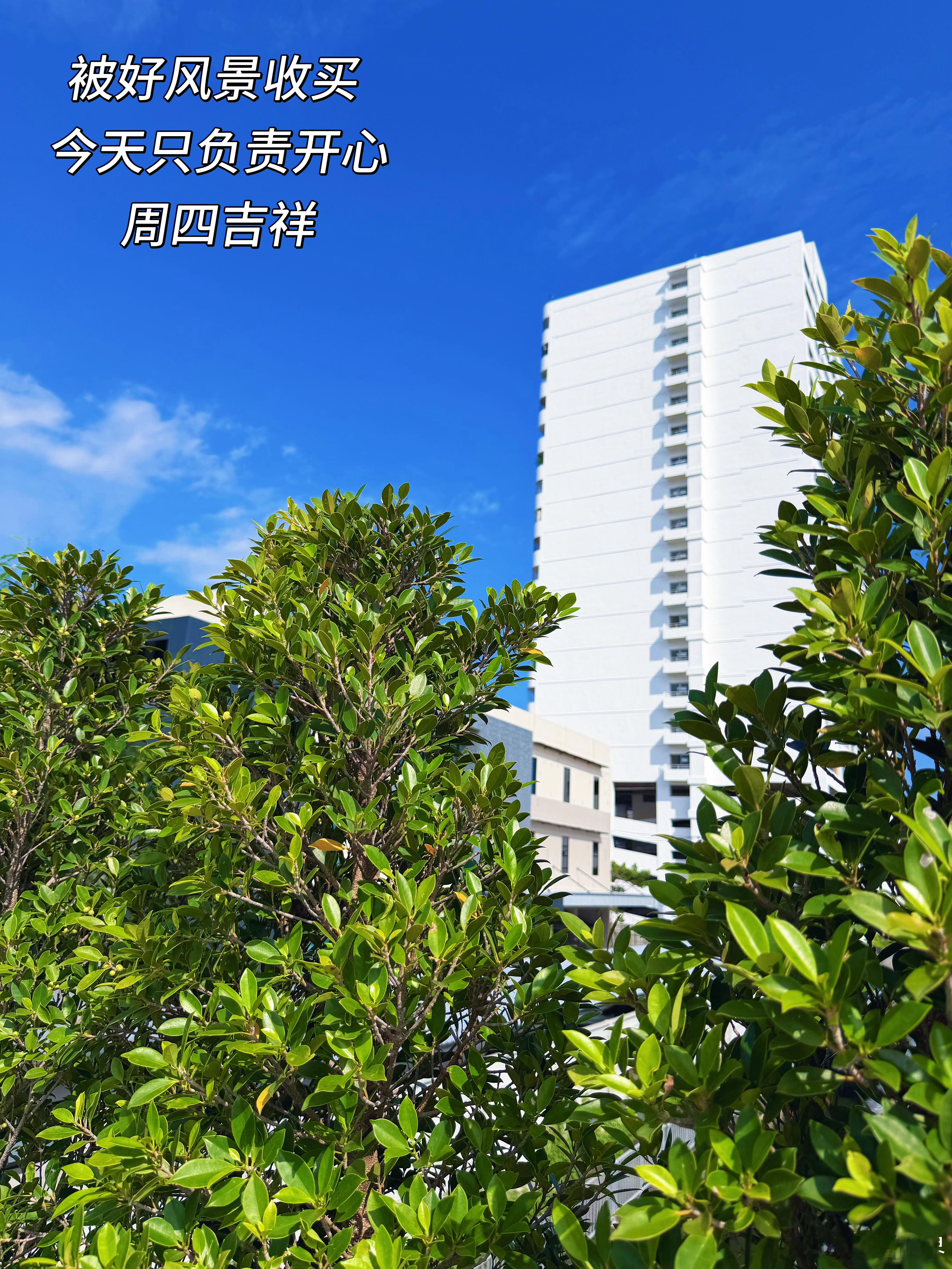 被好风景收买，今天只负责开心。周四吉祥！ 泰国·Ekkamai (เอกมัย)