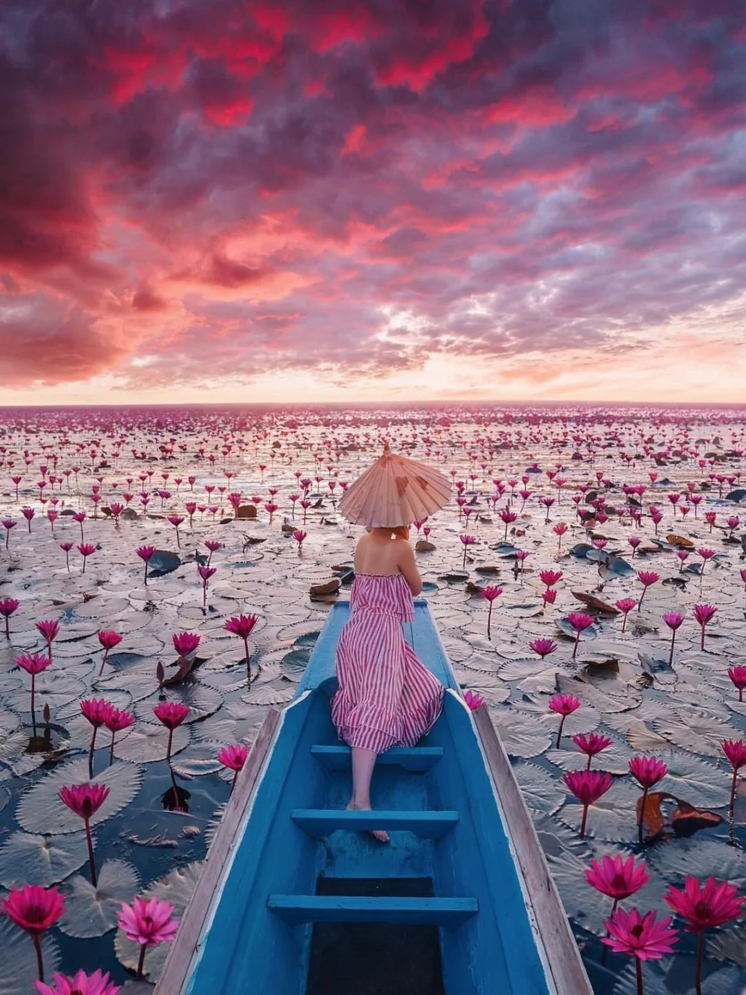 泰国旅行🪷这片绝美的红莲湖太令人心动了！