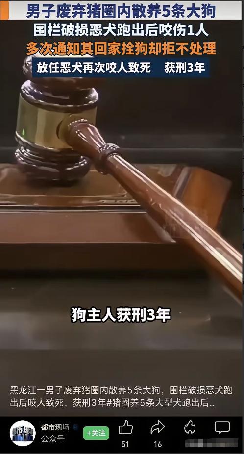 黑龙江男子被5条狗活活咬死，民警两次通知狗主人回家管狗，他愣是当耳旁风！

20