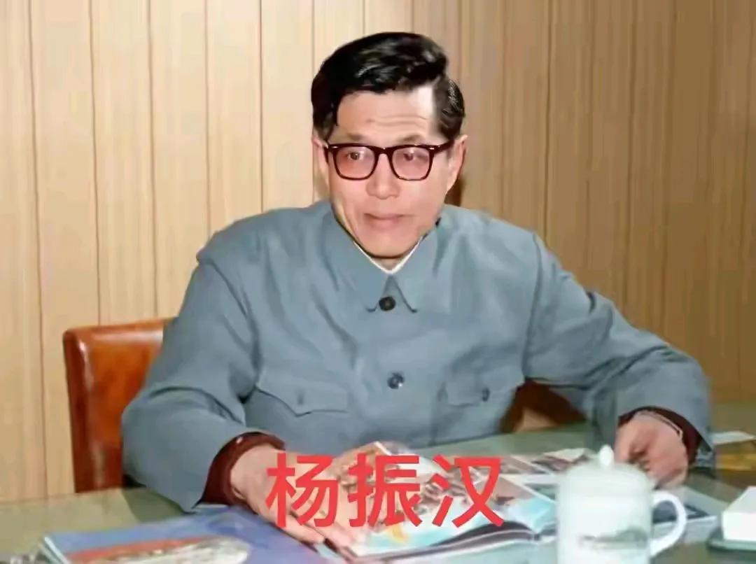 杨振汉：杨振宁弟弟的人生精彩纷呈

杨振汉，作为杨振宁的弟弟，虽然在公众视野中不