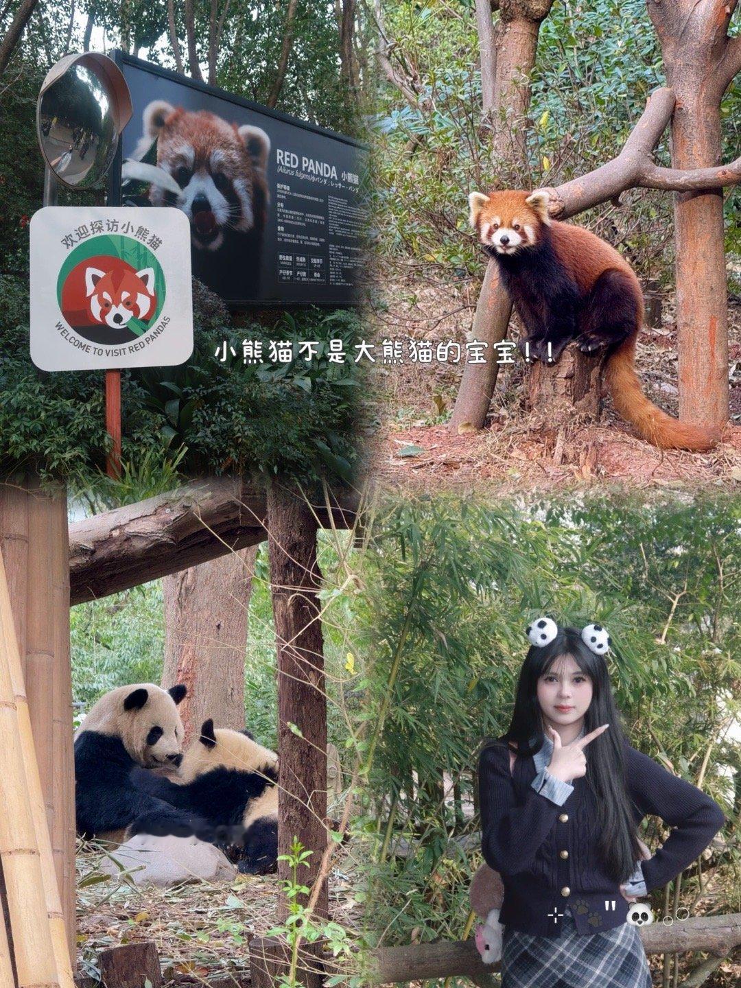 我看见 幸福特写🍬 