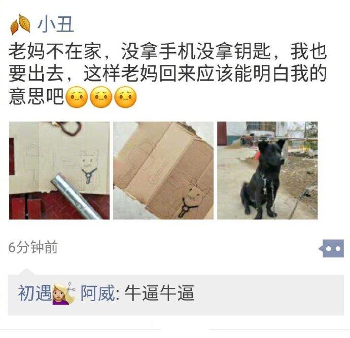养狗千日，用狗一时。