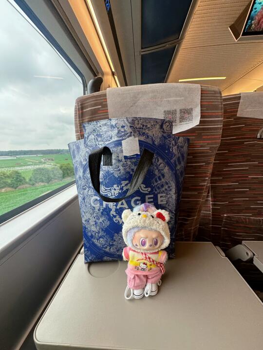 出发上海🚄求推荐主打一个听劝！！！